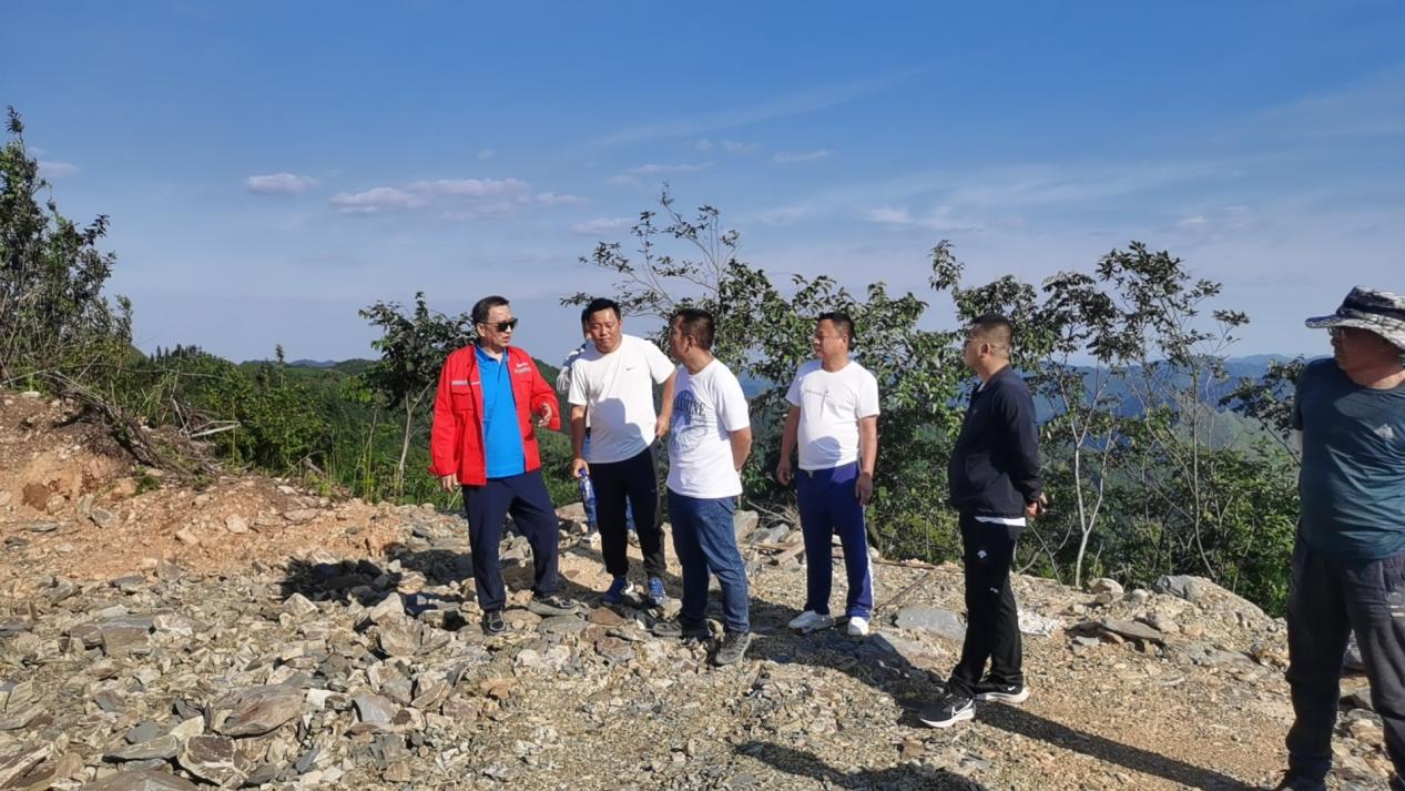 集团新闻｜严盯项目 紧抓落实——广西百色隆林各族自治县县长赴集团项目现场检查指导