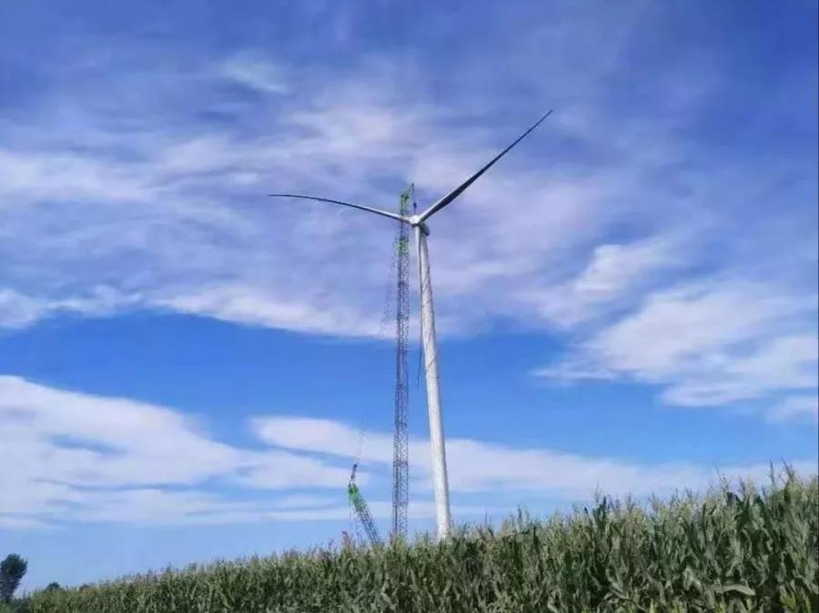 EPC资讯丨寒雪梅中尽，春风柳上归